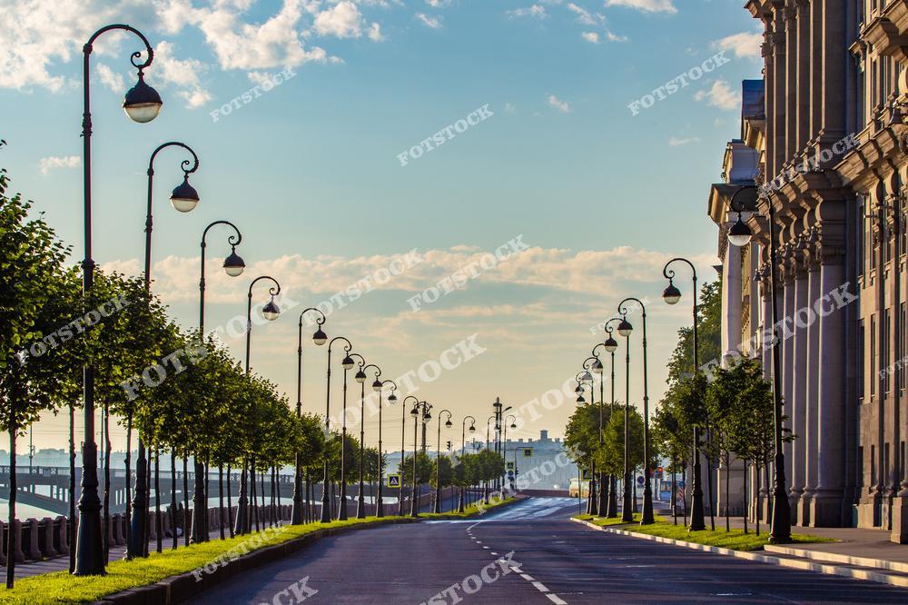 На фотографии изображена одна из набережных Санкт-Петербурга в утреннее время. Ровные ряды деревьев и изогнутые фонари придают улице элегантность и гармонию. Пустая дорога создаёт ощущение спокойствия и уединённости. Здания с классической архитектурой на правой стороне подчёркивают величие и стиль города.